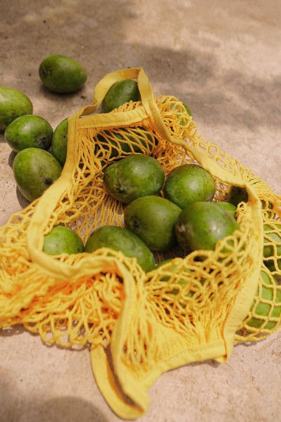 Descriptive text for the image