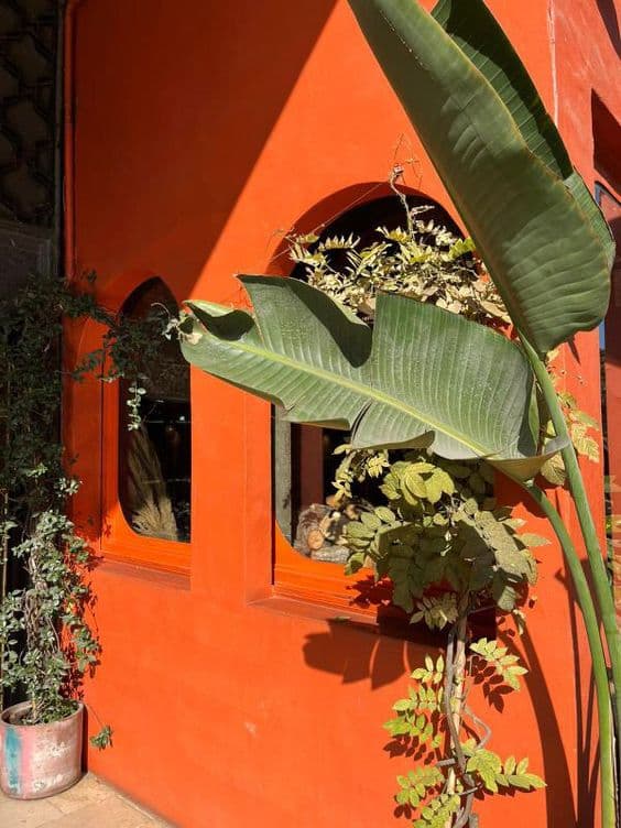 Een afbeelding van lemoen sap